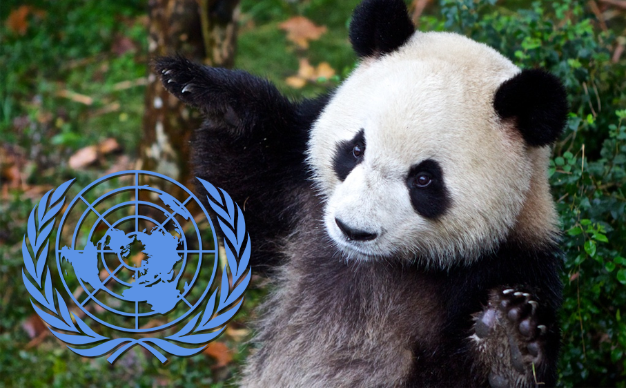 Em dia mundial, ONU celebra 25 anos de convenÃ§Ã£o para proteger biodiversidade